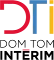 DT INTERIM
